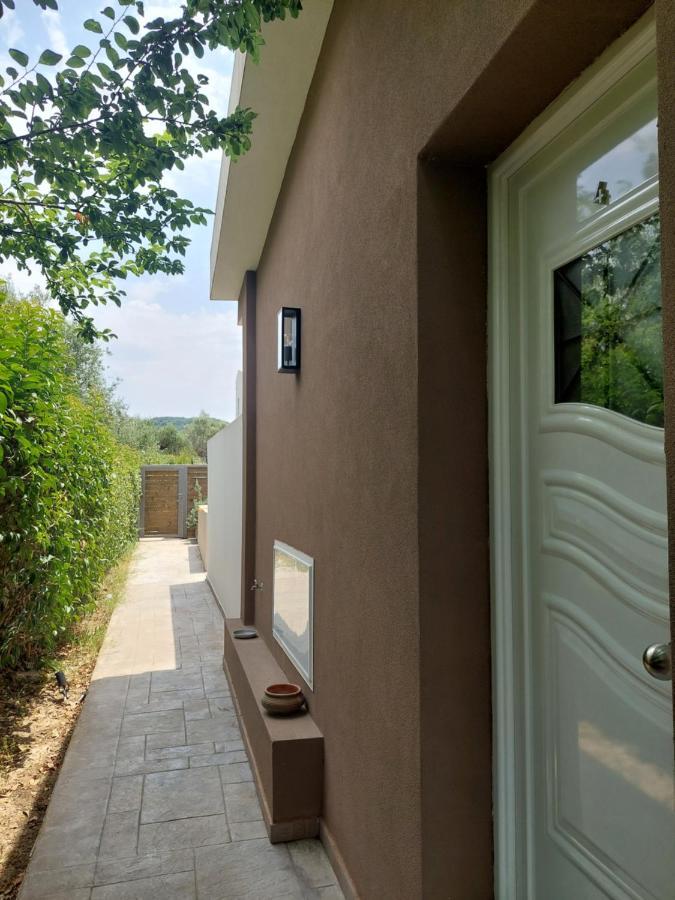 Zante Flower Studios & Apartments Αλυκανάς Εξωτερικό φωτογραφία
